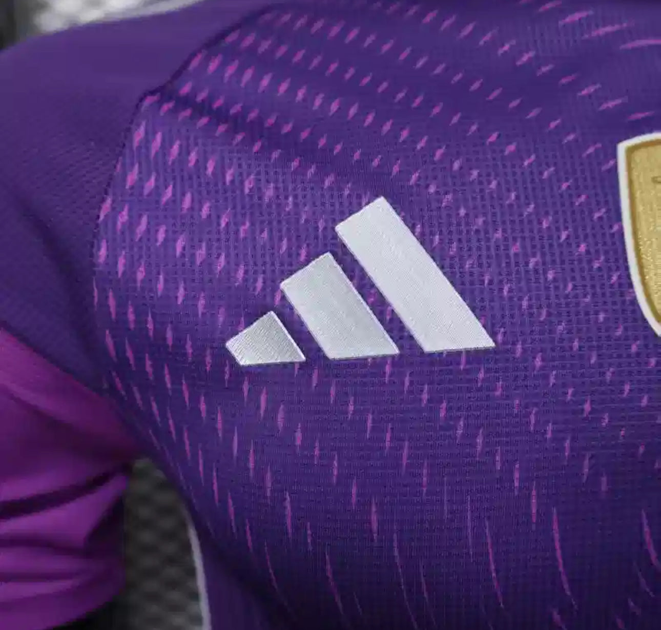 Argentine Maillot Gardien Violet 2025