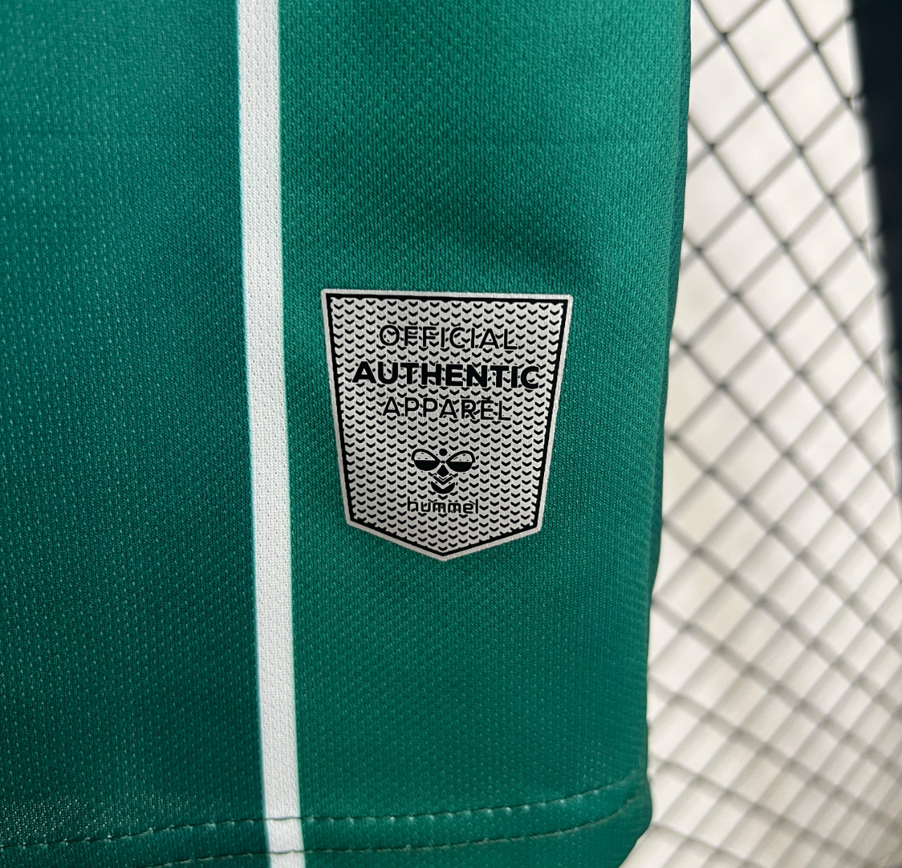 Werder Bremen jersey
