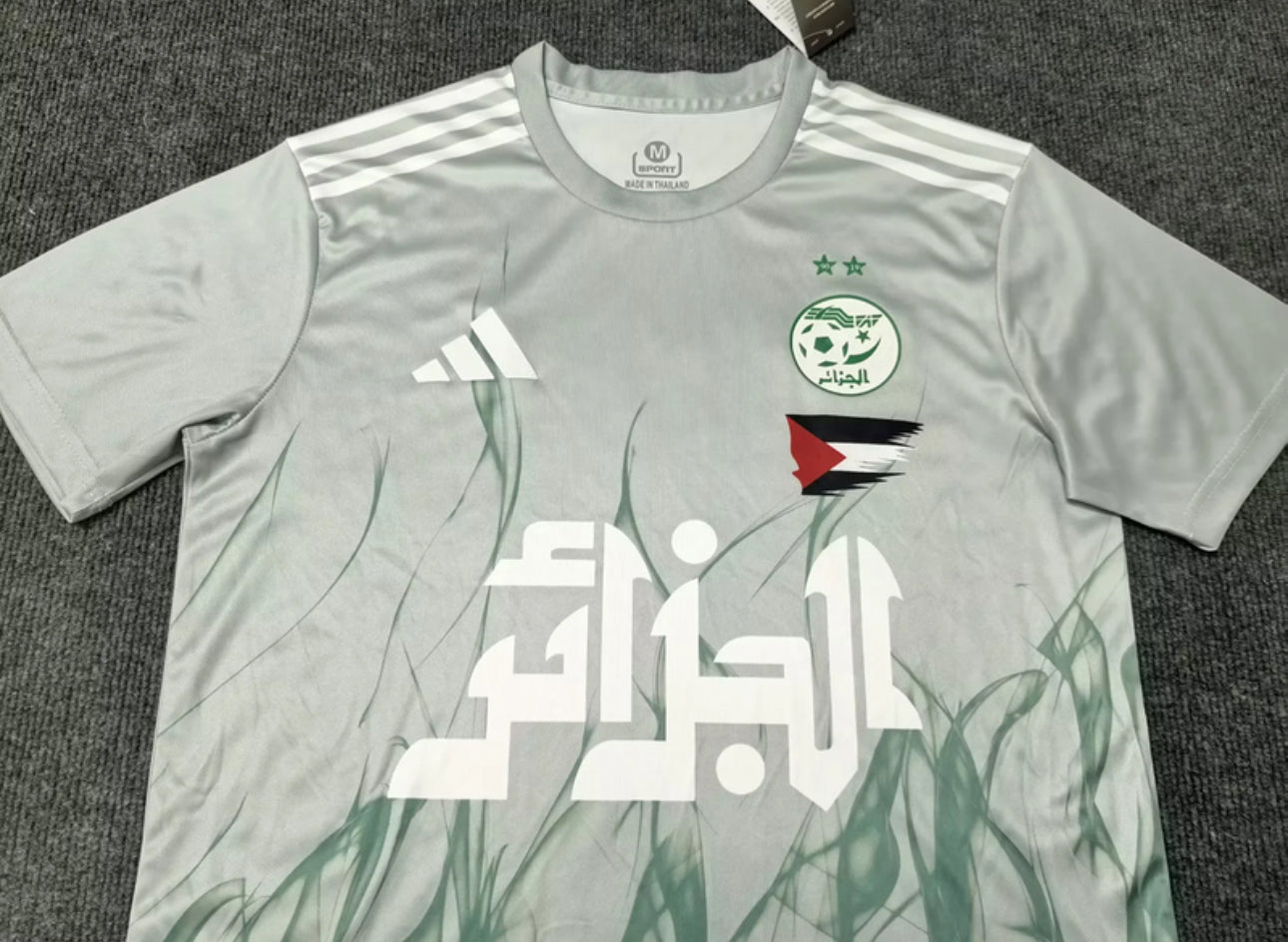 Algeria Palestine Concept Jersey Green 25/26
