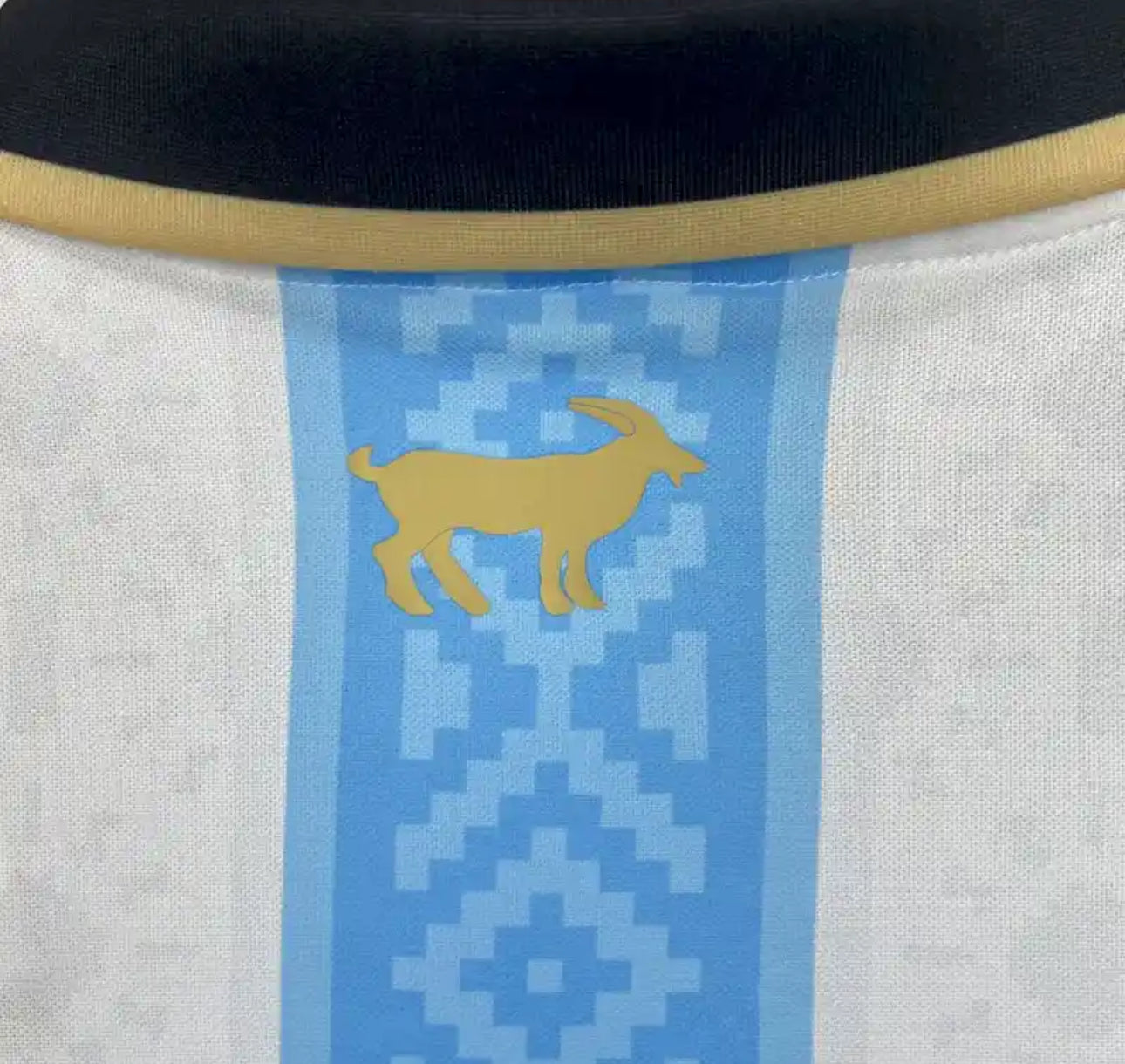Argentina 2024 Special Edition Jersey