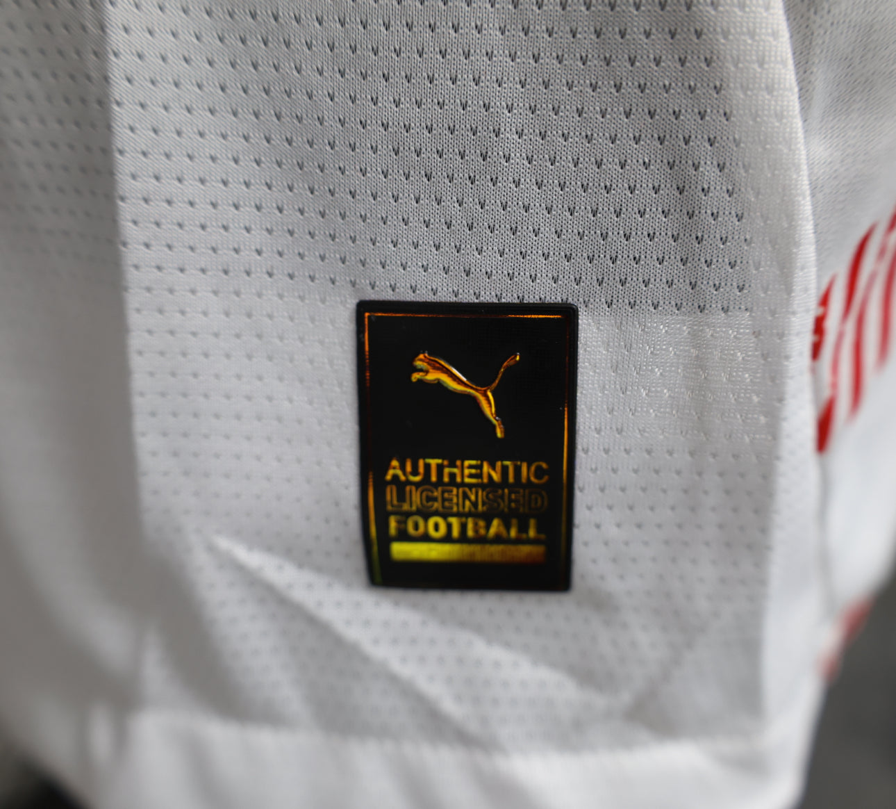 RB Leipzig Home Shirt 24/25