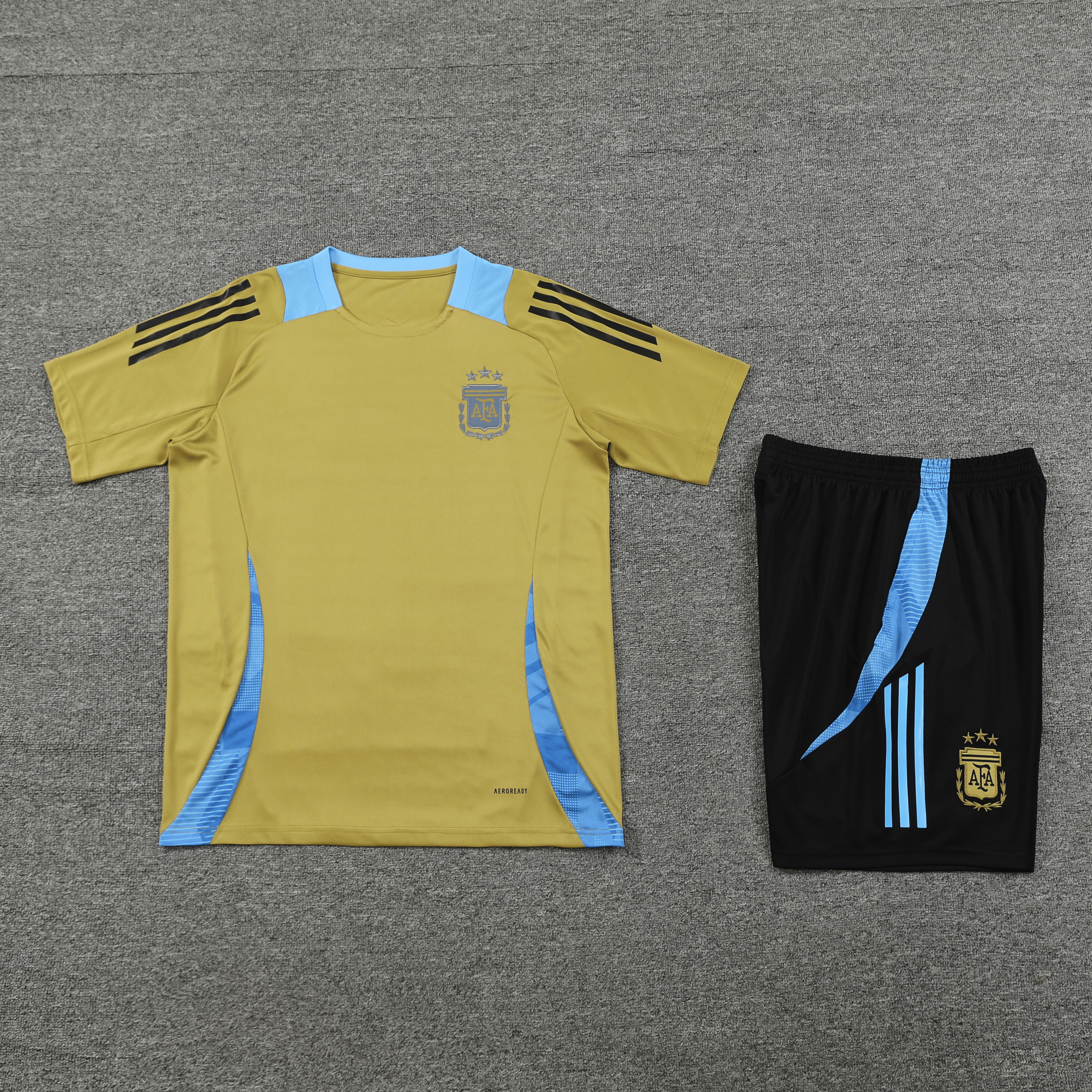 Adult Training Kit Argentina 24/25