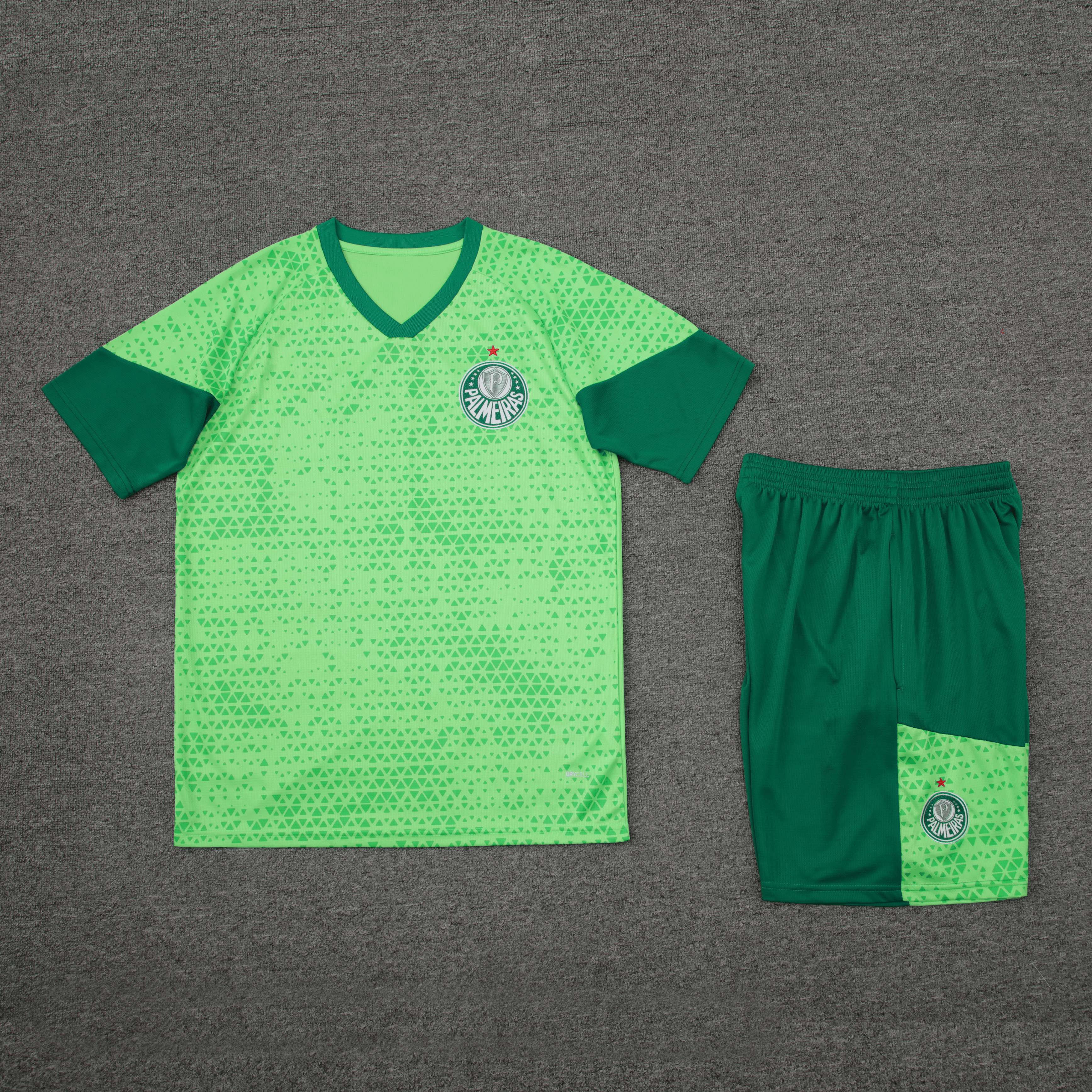 Palmeiras 24/25 Adult Training Kit