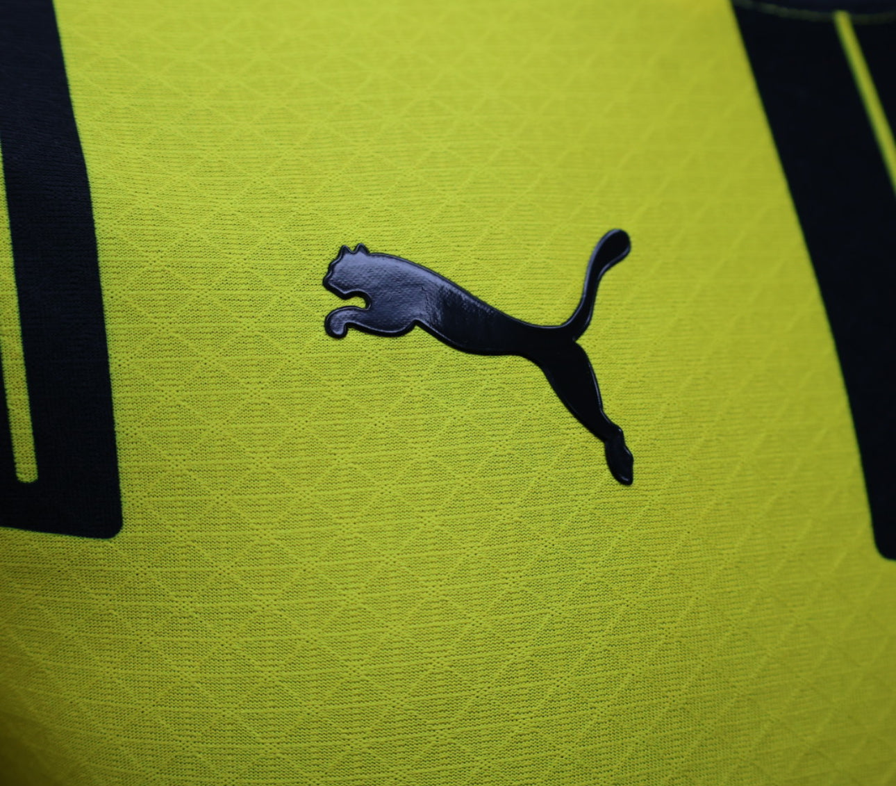 Dortmund Gelbes Heimtrikot 24/25