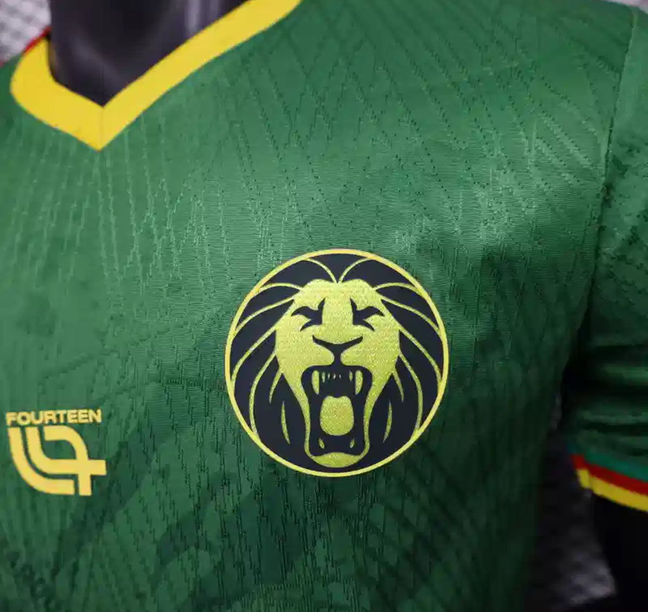 Cameroun Maillot Domicile Vert 2025