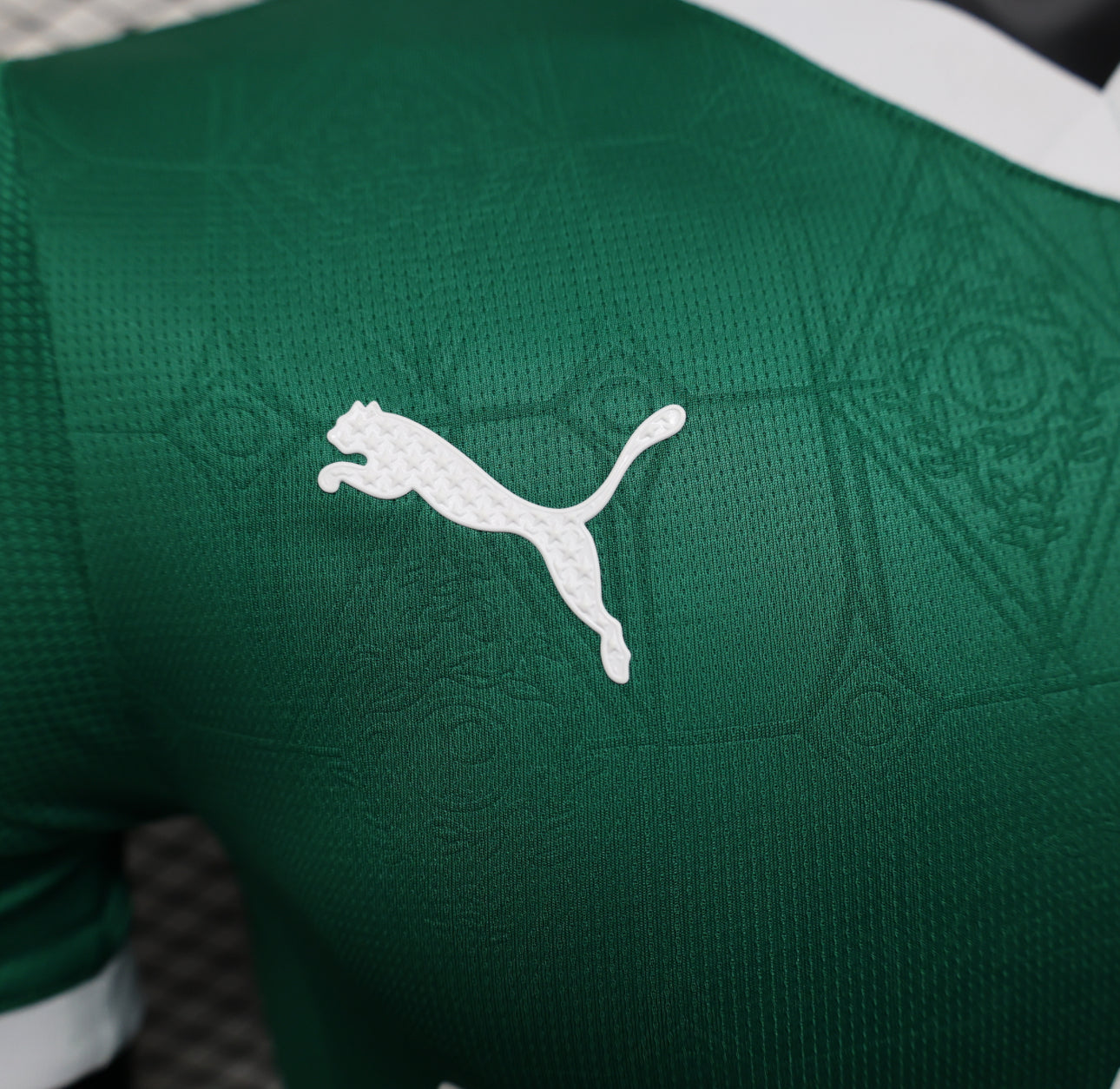 Palmeiras Green Home Shirt 25/26