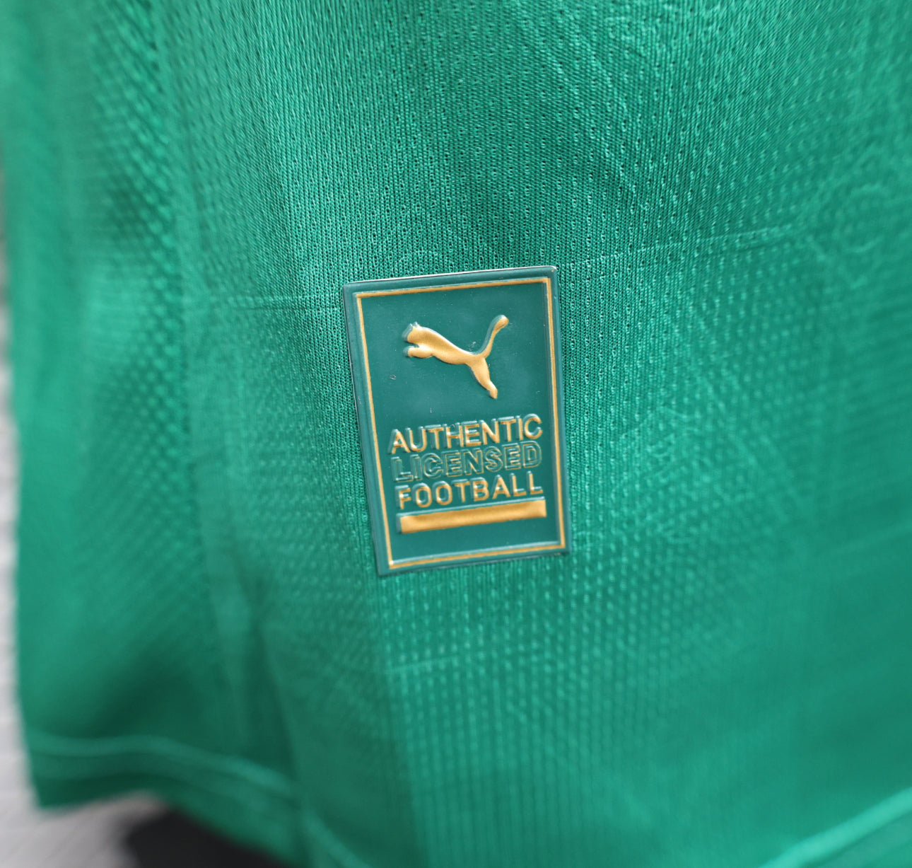 Palmeiras Green Home Shirt 25/26