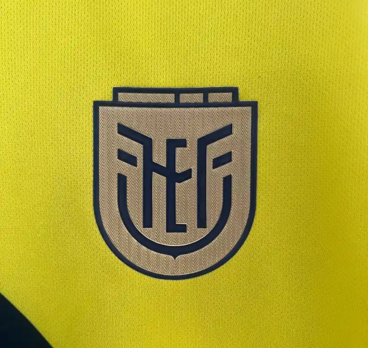 Ecuador Yellow Home Jersey 2024