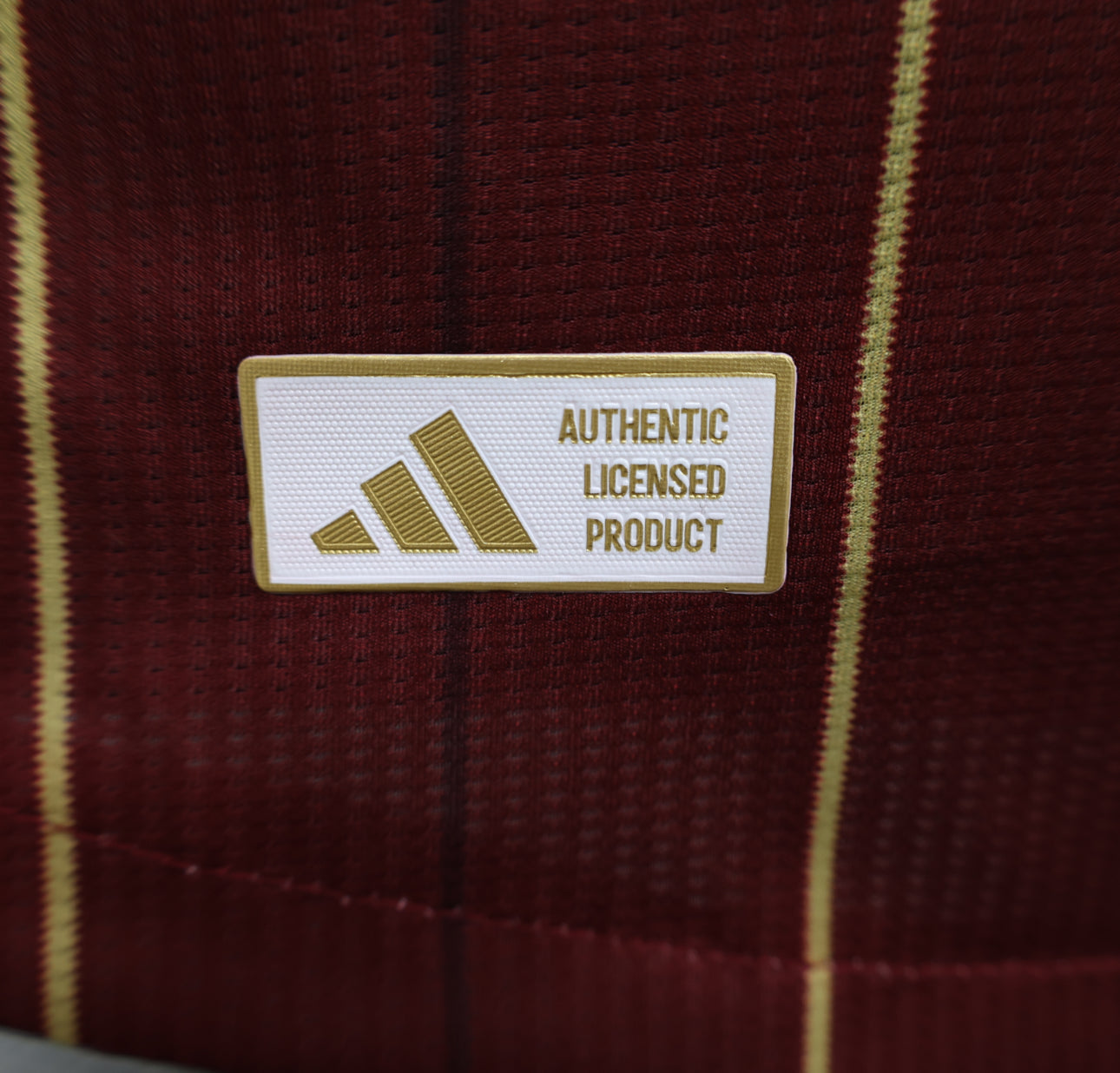 AS Roma Home Shirt 24/25