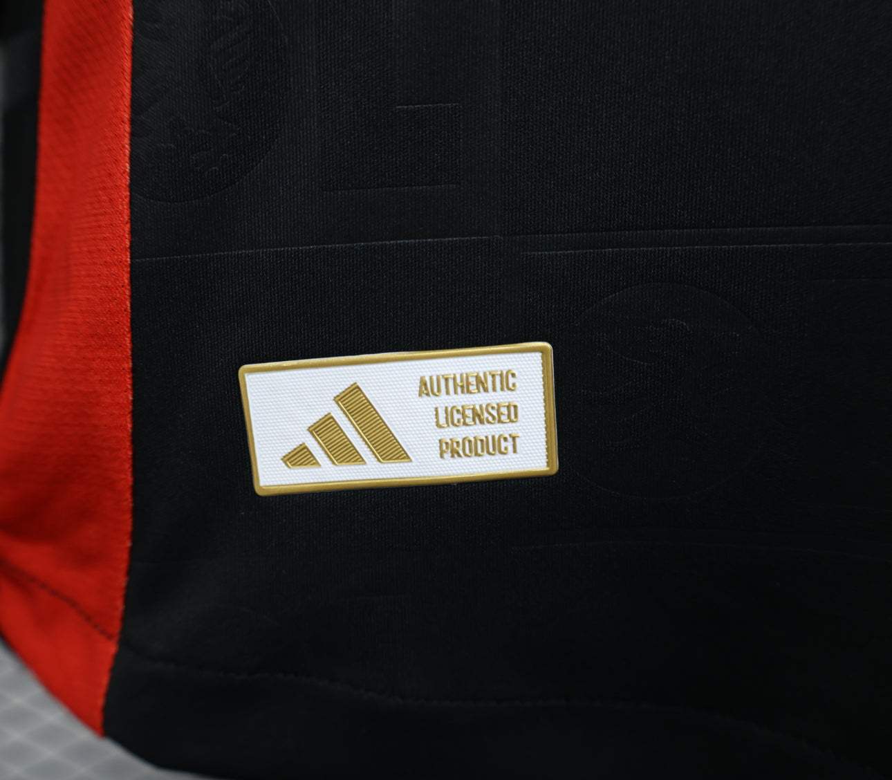 Maillot Lyon Extérieur 24/25