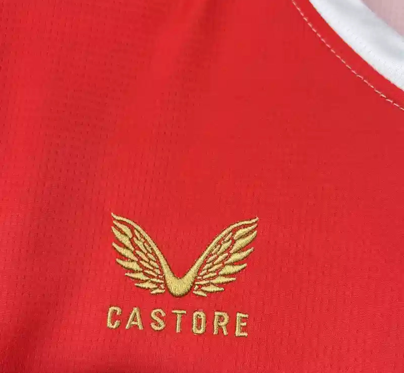 Feyenoord Rotterdam Home Jersey 25/26