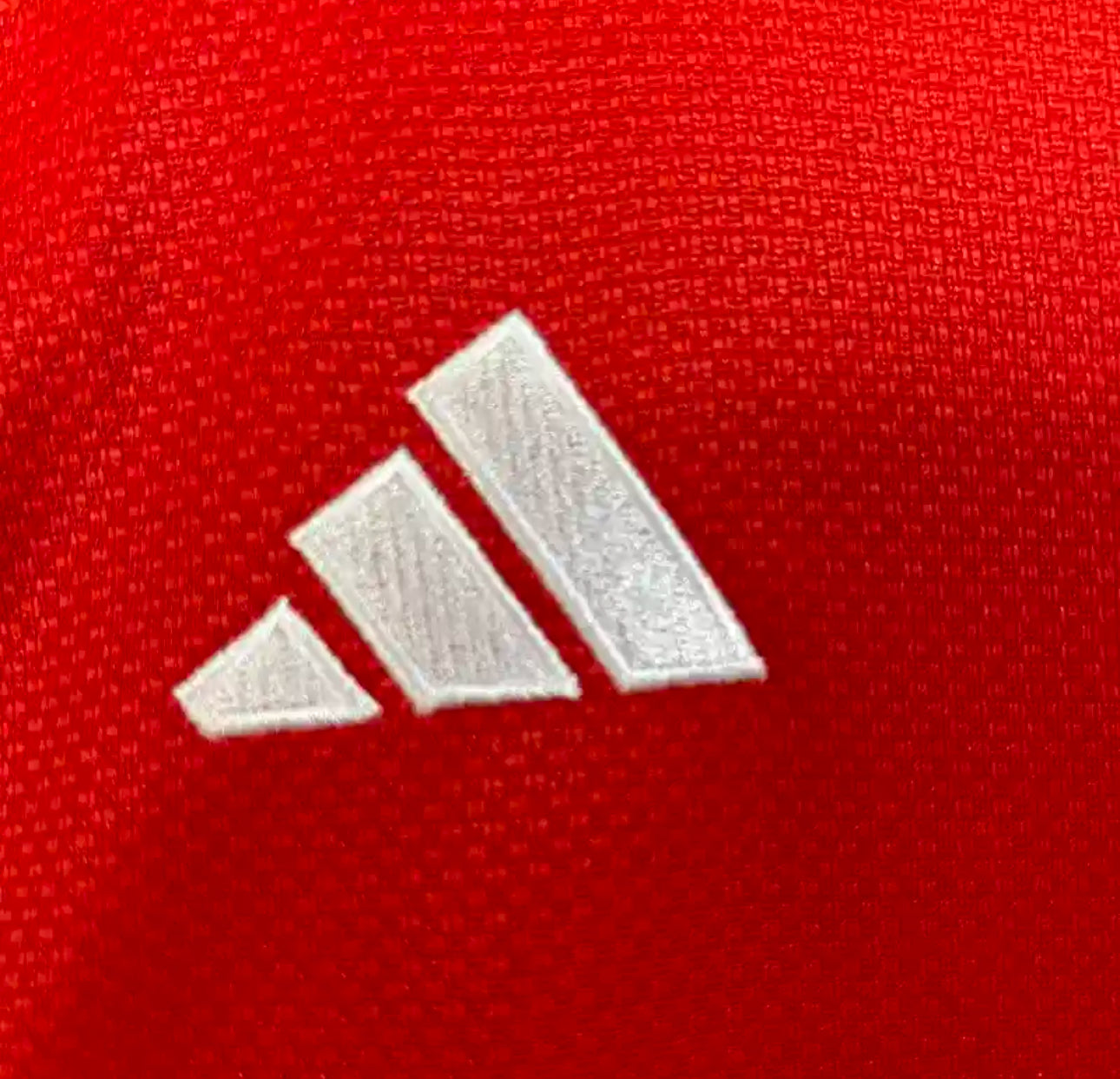 Benfica Heimtrikot Kinder 25/26