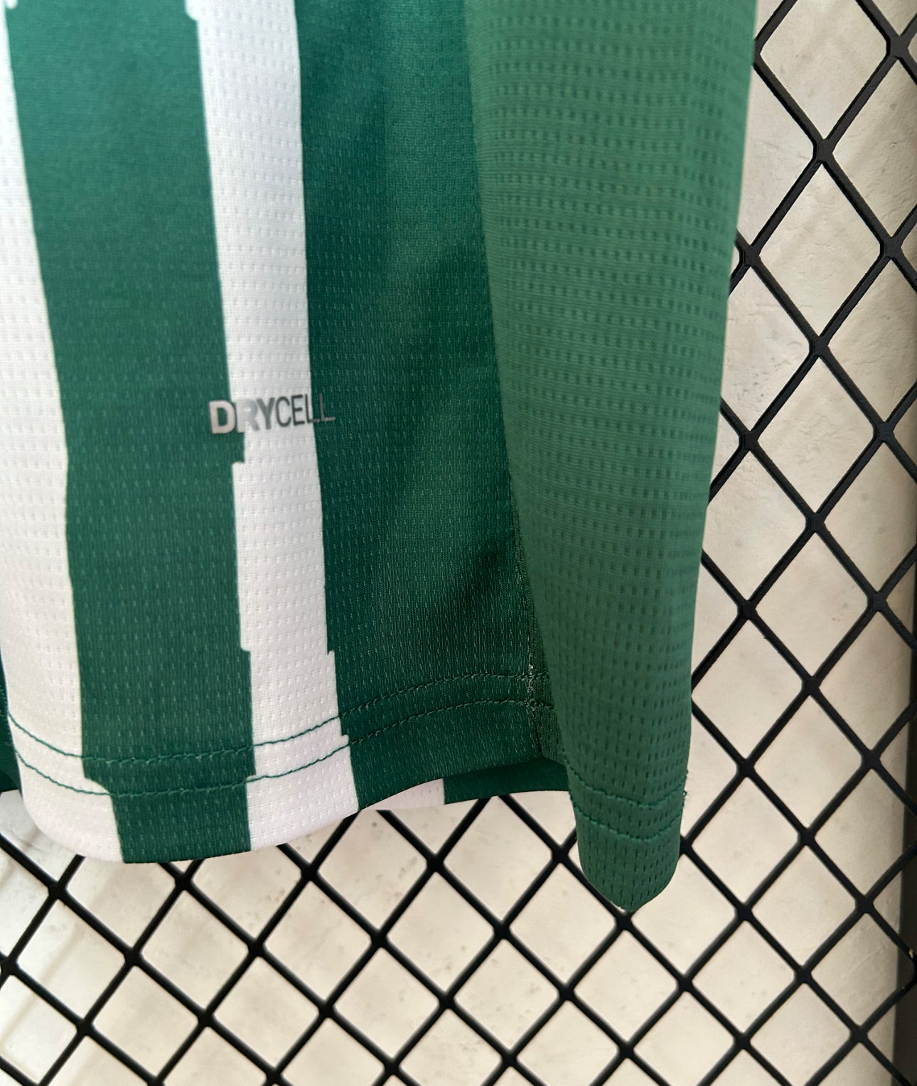 Palmeiras Mailot Édition Limité Vert 25/26