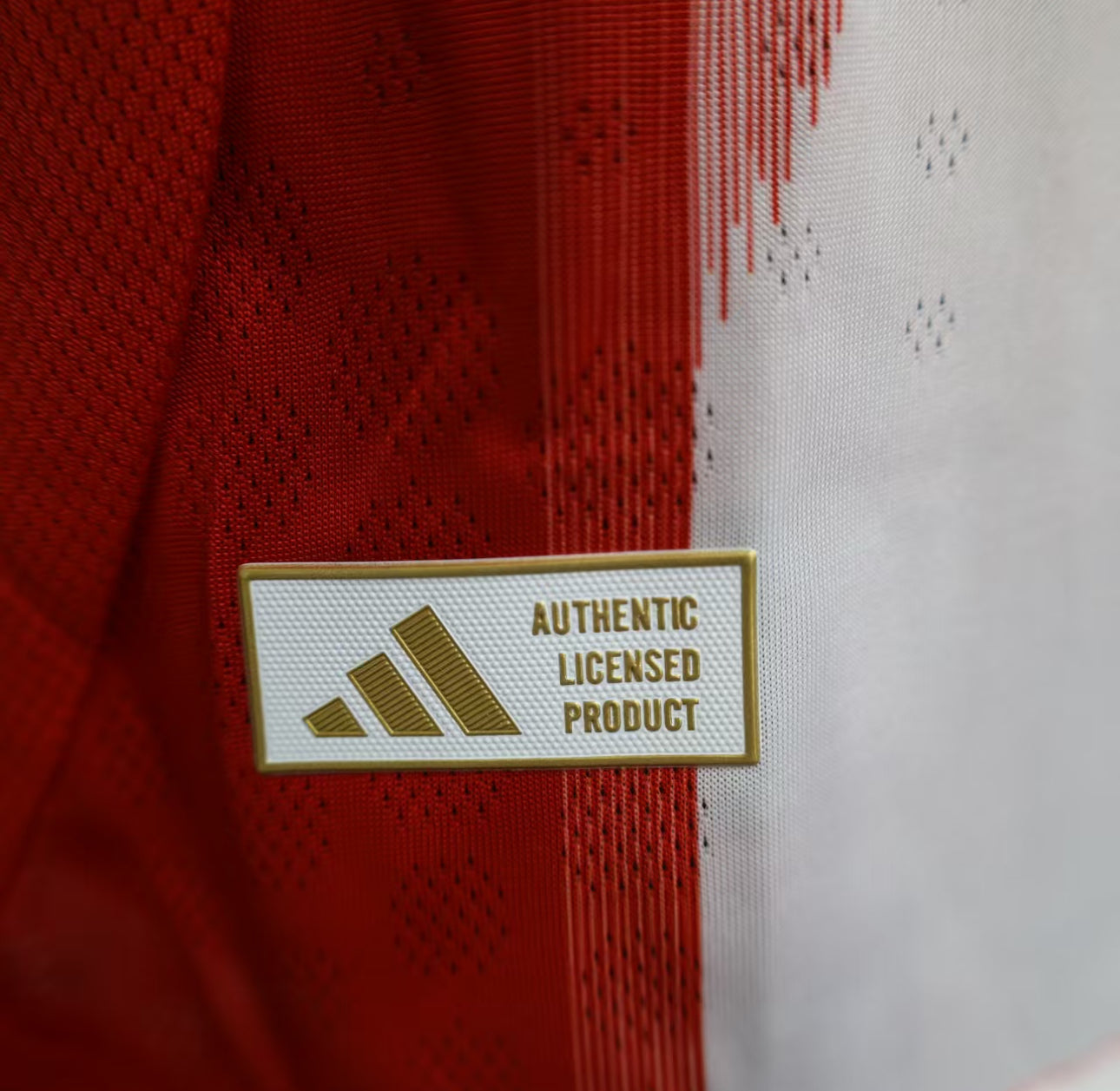 Maillot Bayern Munich Domicile 25/26