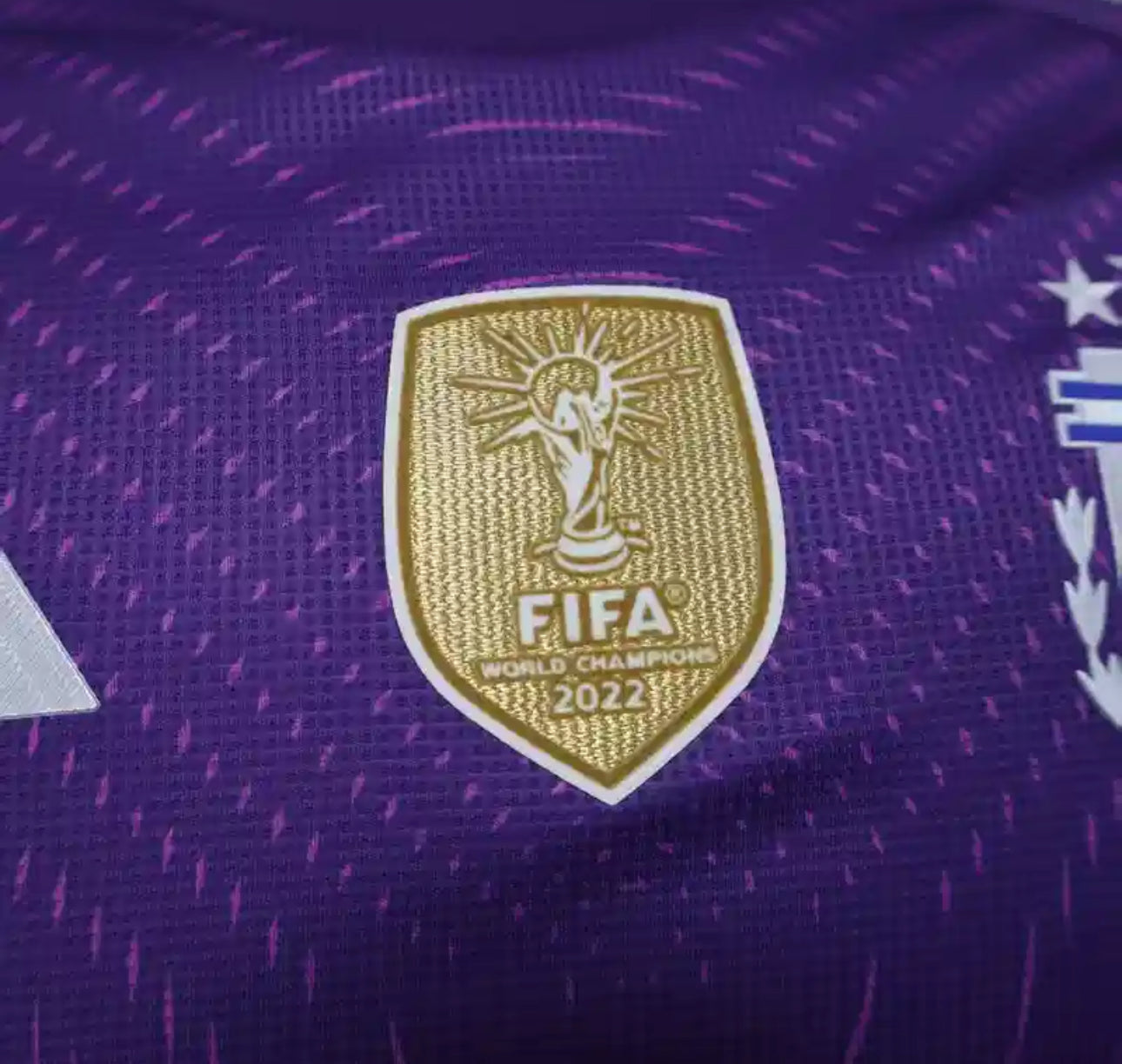 Argentine Maillot Gardien Violet 2025