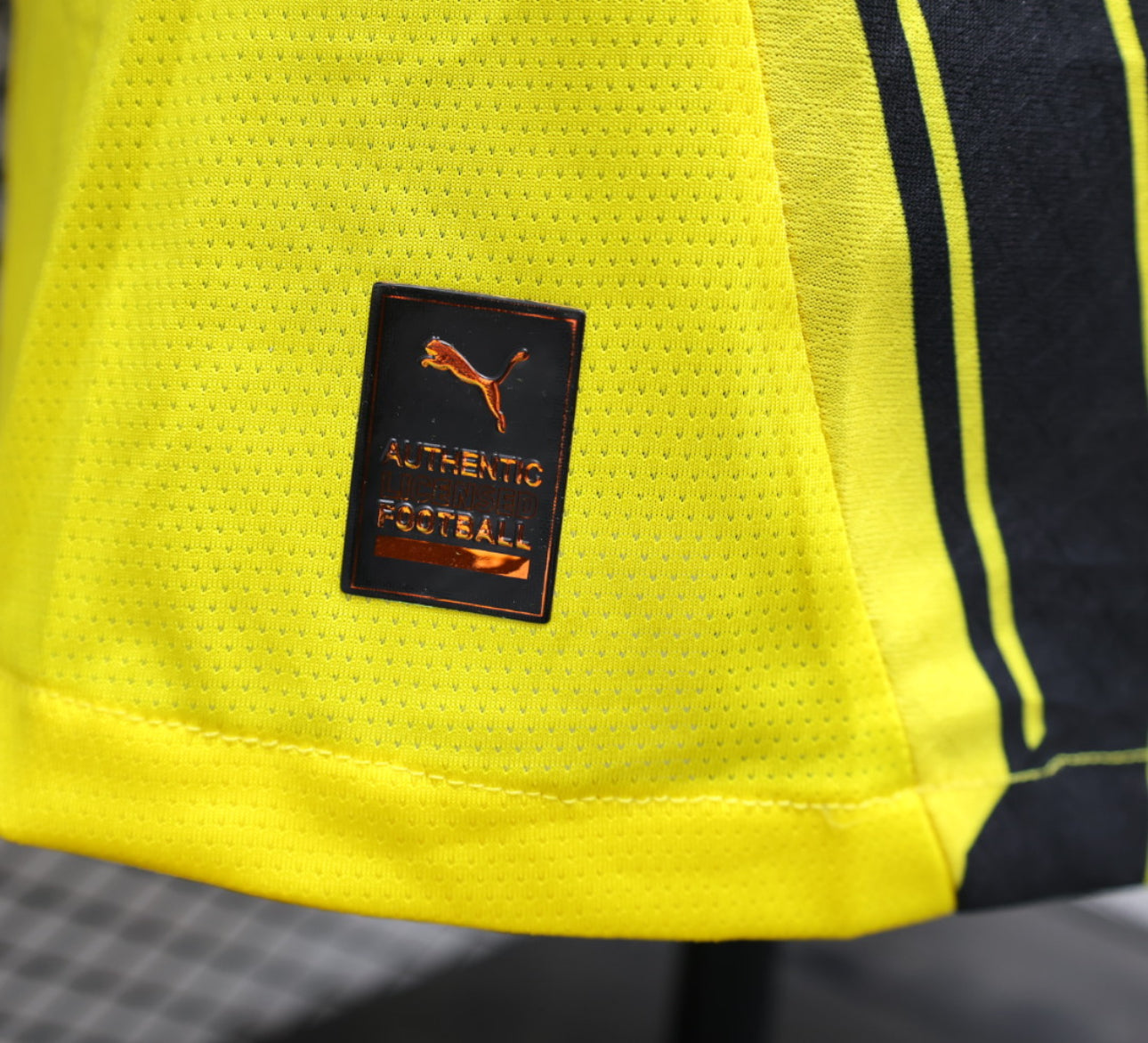 Dortmund Gelbes Heimtrikot 24/25