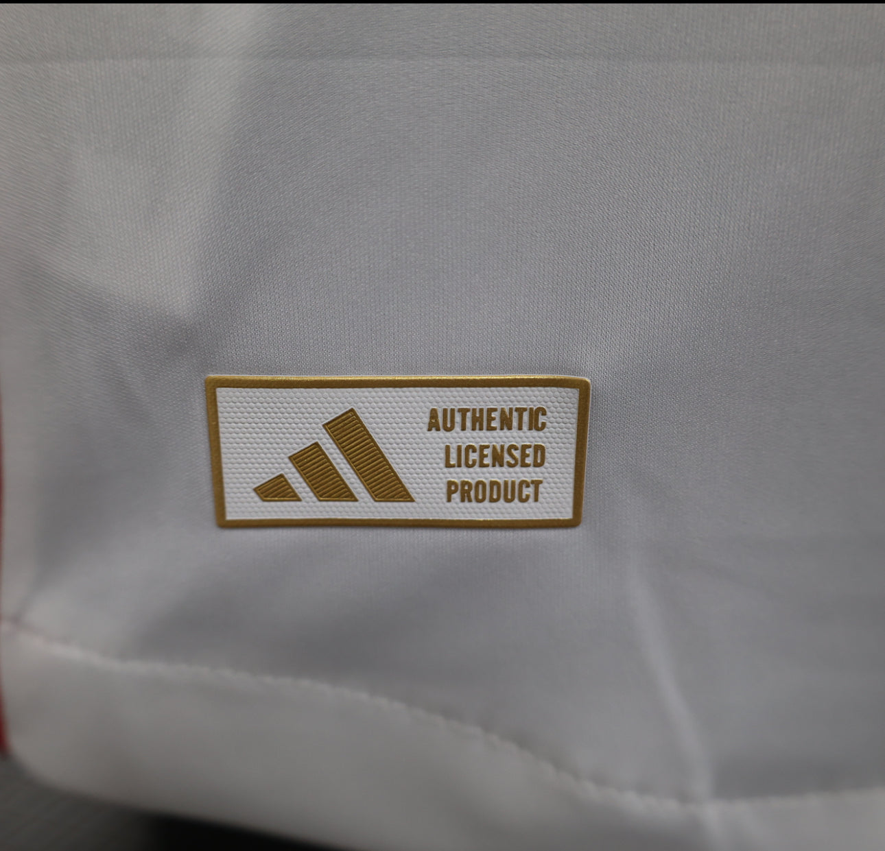 Maillot Lyon Domicile 24/25