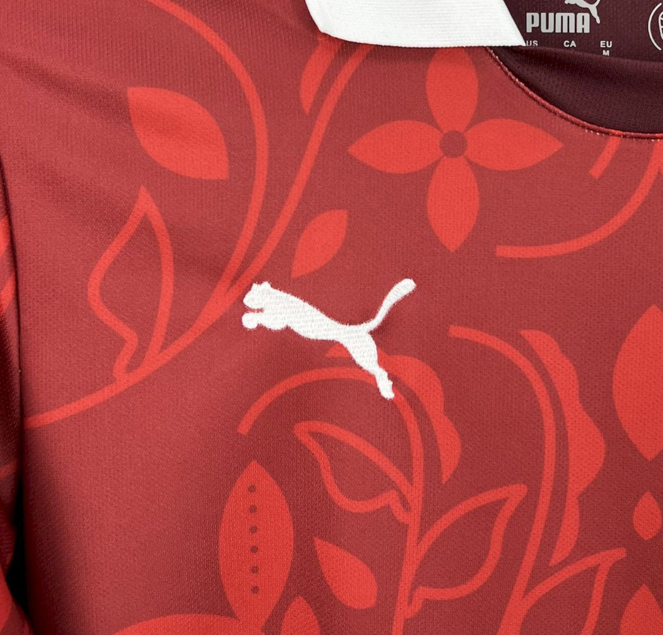 Maillot Portugal Maillot D'Entrainement Rouge 25/26