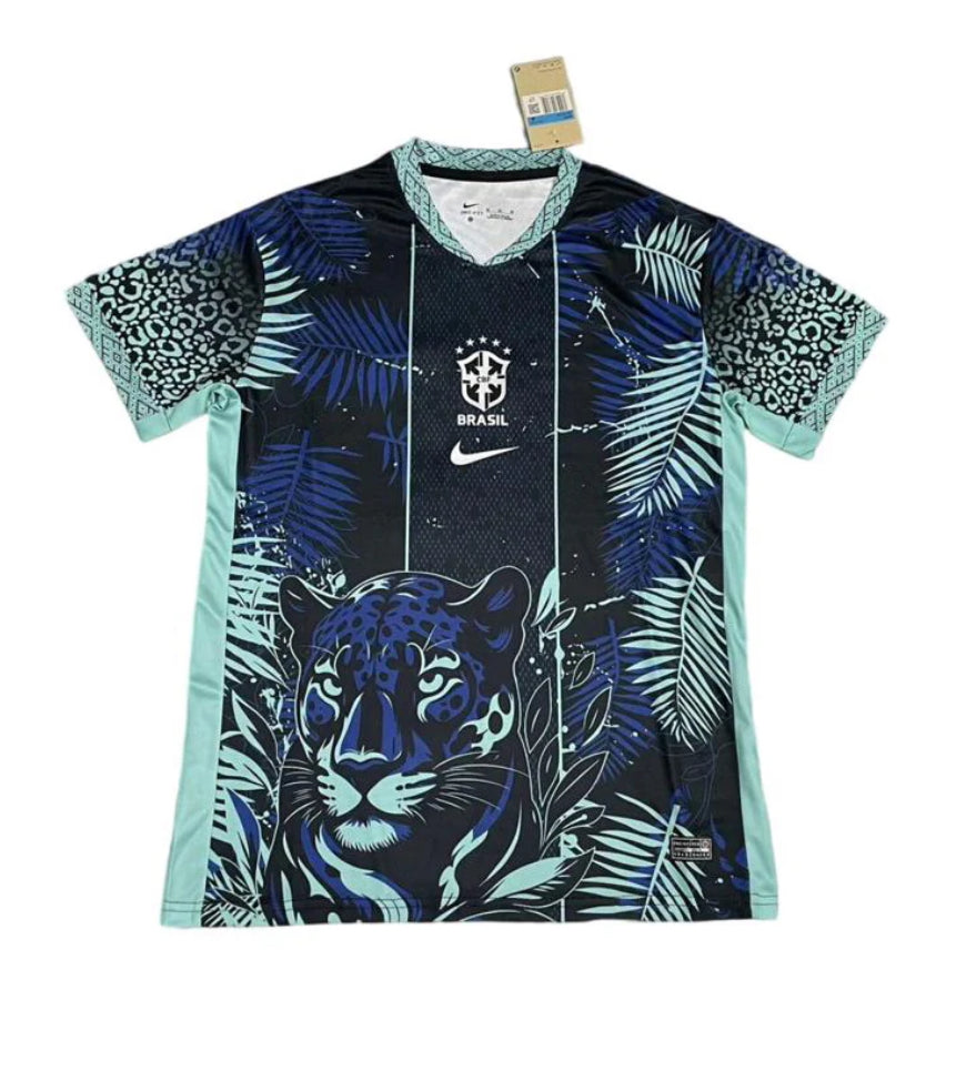 Brazil Concept Blue Jersey 25/26