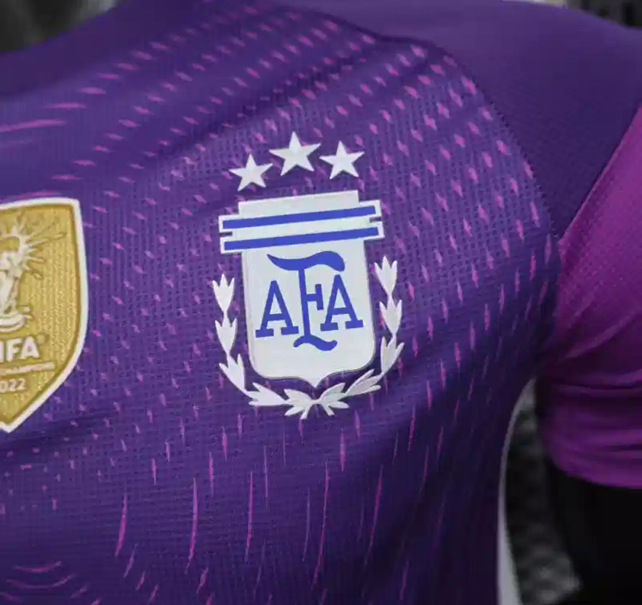 Argentine Maillot Gardien Violet 2025