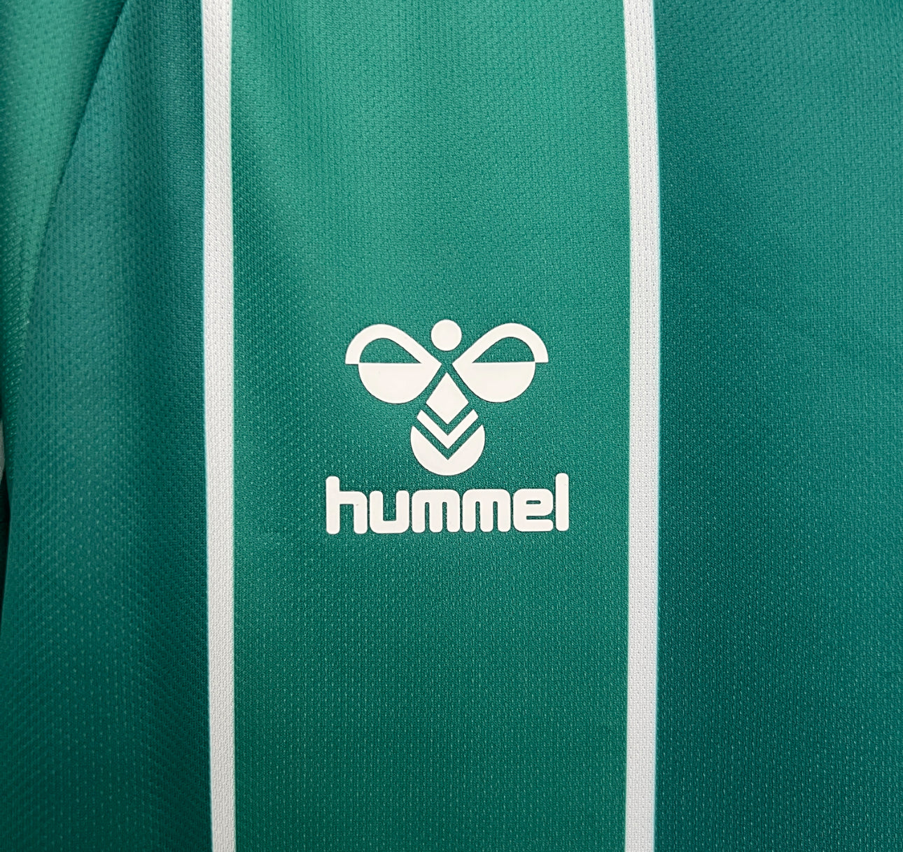 Werder Bremen jersey