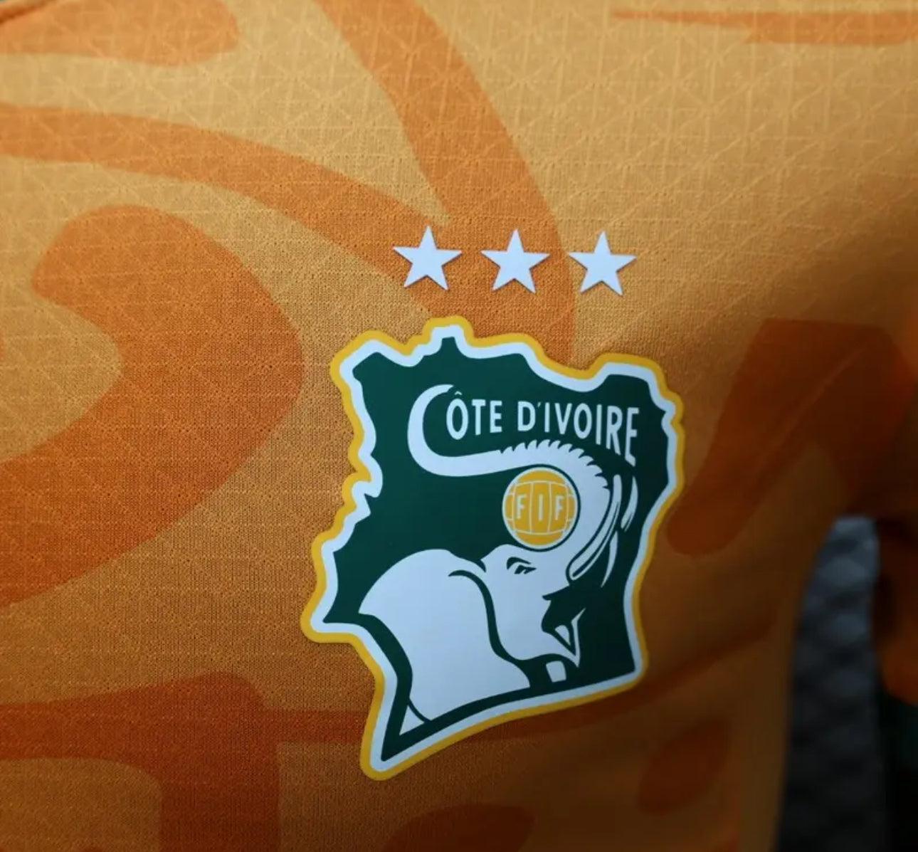 Côte D'Ivoire Maillot Domicile 2024