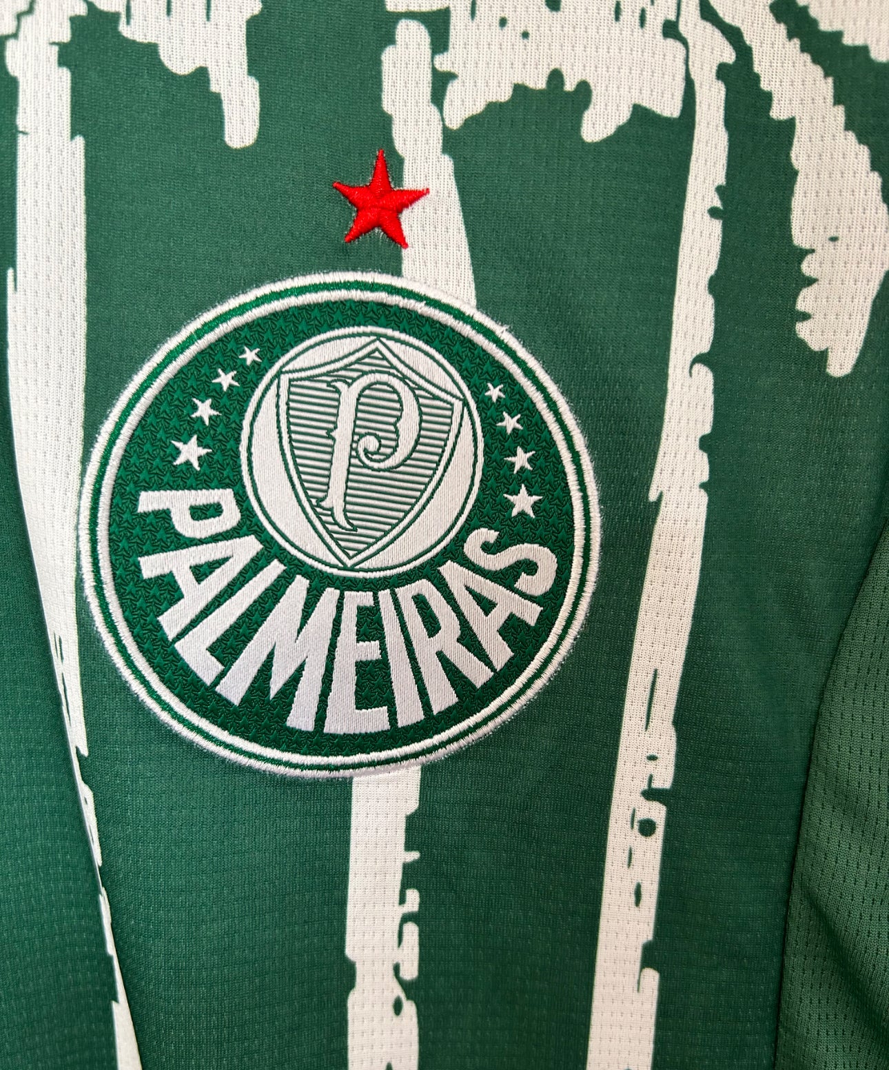 Palmeiras Mailot Édition Limité Vert 25/26