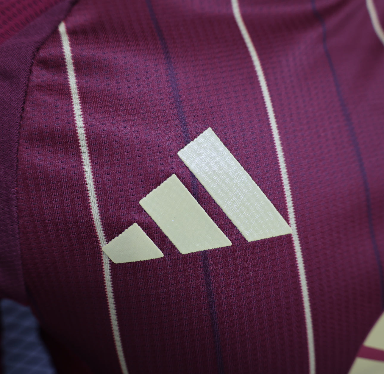 AS Roma Home Shirt 24/25