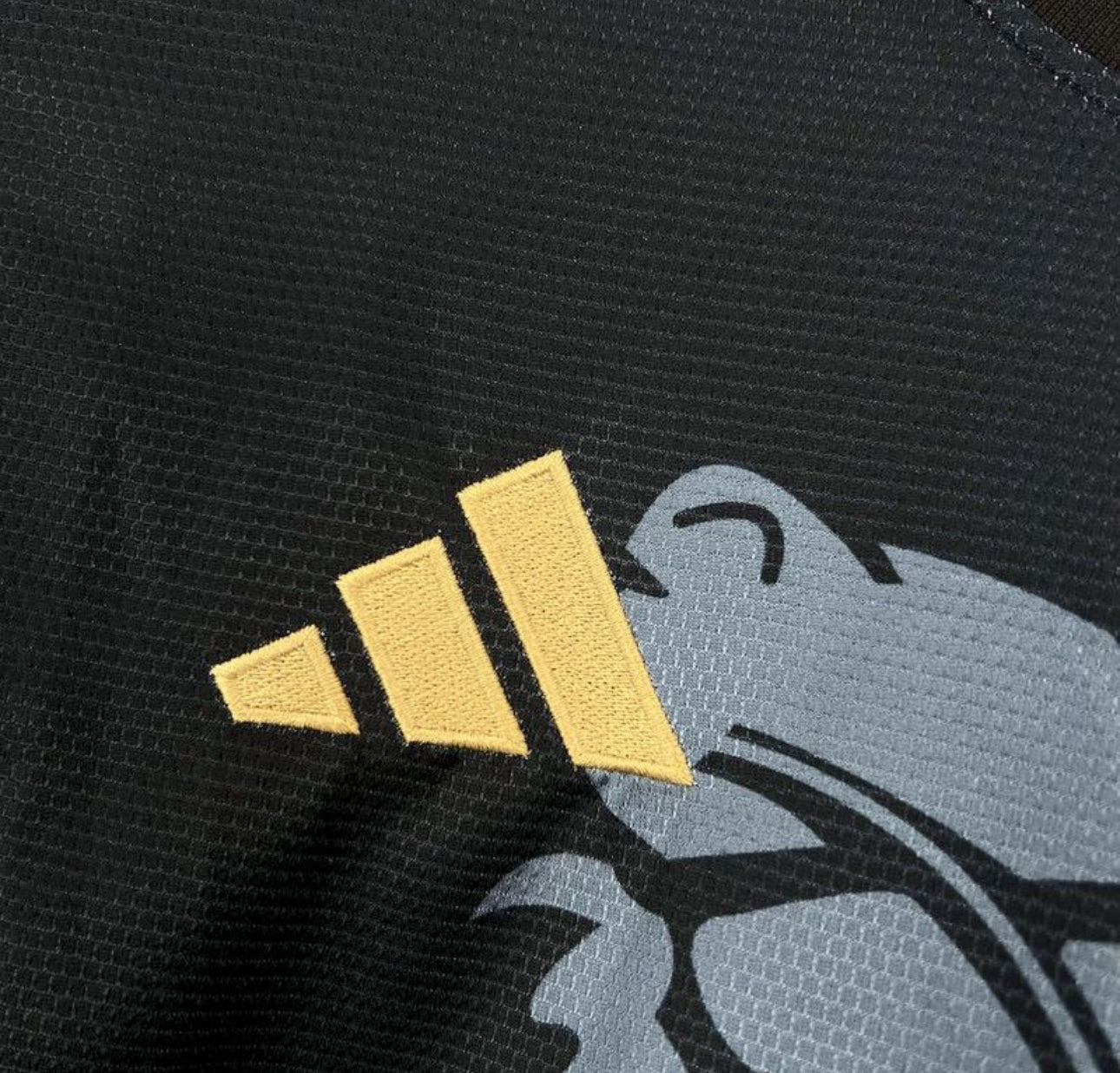 Maillot Aston Villa Noir Dragon 25/26
