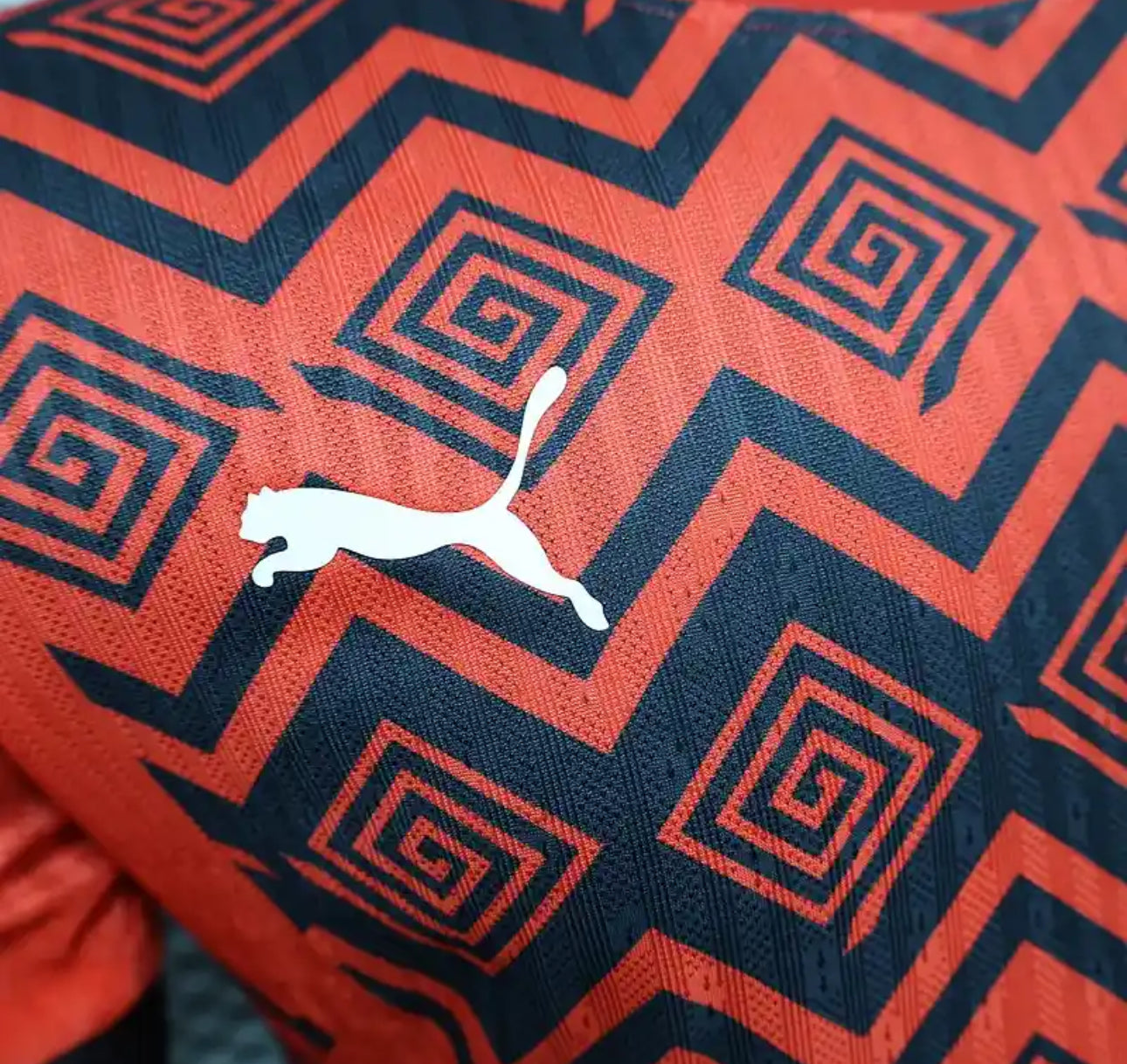 Égypte Maillot Entraînement Rouge et Noir 2025