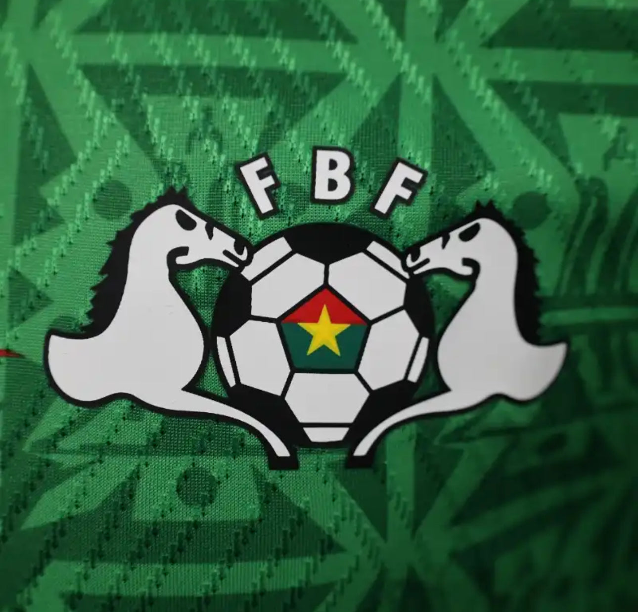 Burkina Faso Maillot Domicile Vert 2024