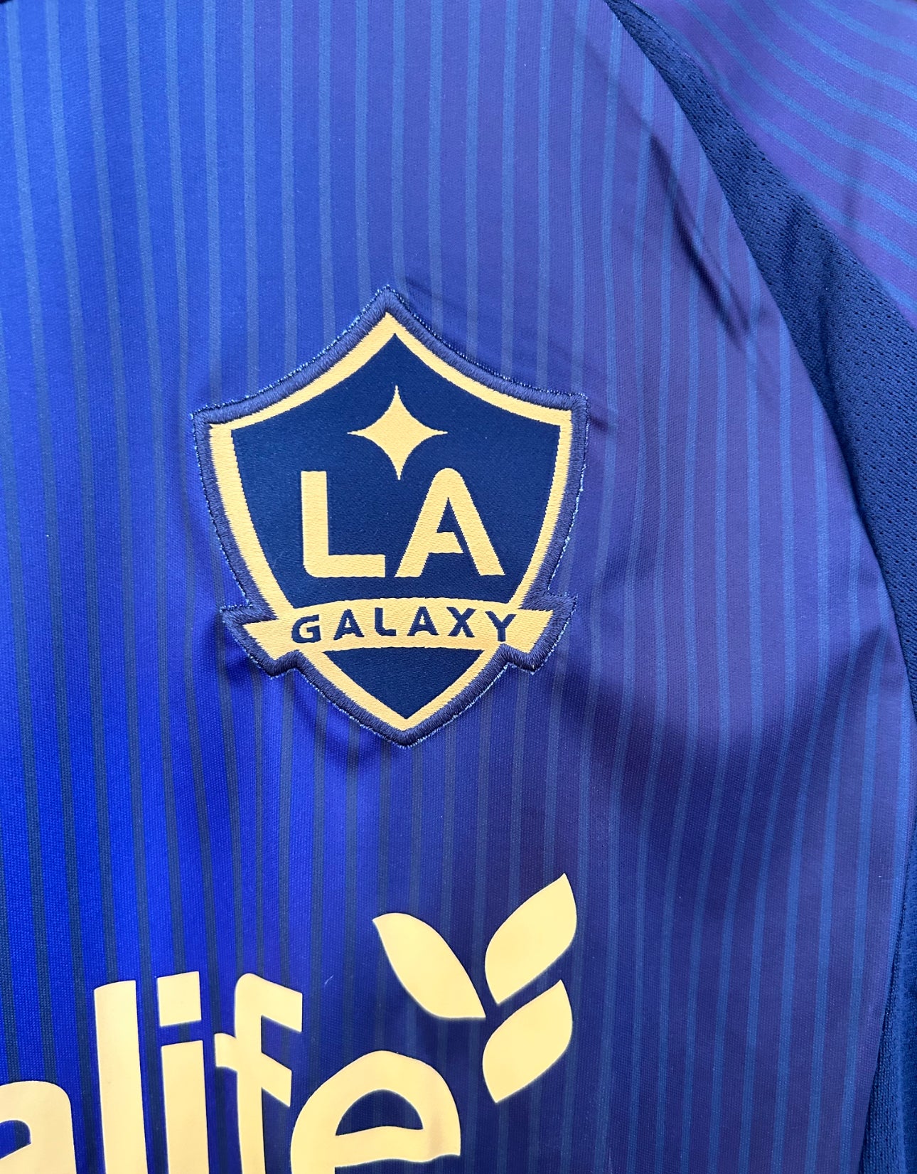 Galaxy Los Angeles Away Jersey 25/26