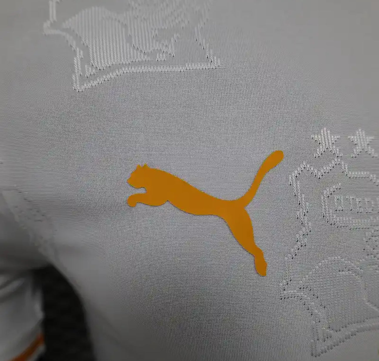 Elfenbeinküste Sonderedition Trikot 2024