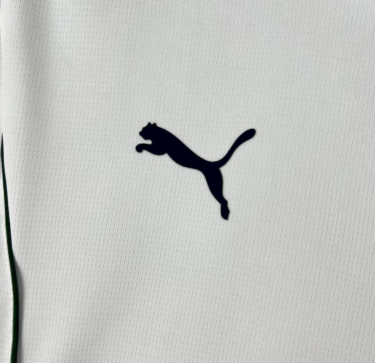 Maillot Portugal Spécial Blanc 25/26