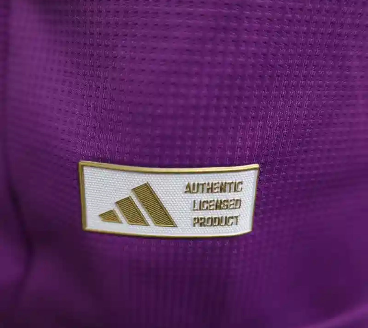 Argentine Maillot Gardien Violet 2025