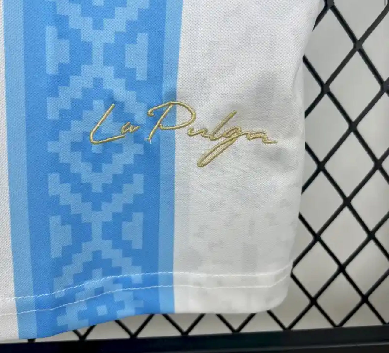 Argentina 2024 Special Edition Jersey