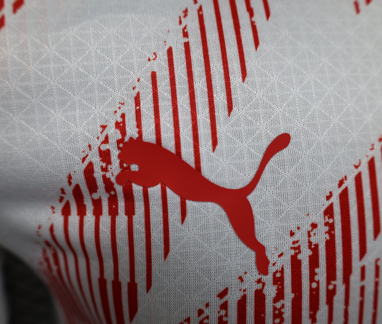 RB Leipzig Home Shirt 24/25