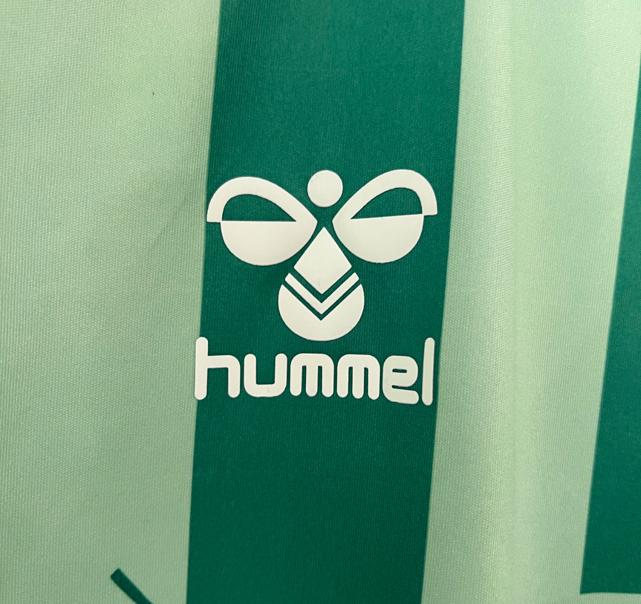 Real Betis Konzepttrikot 24/25